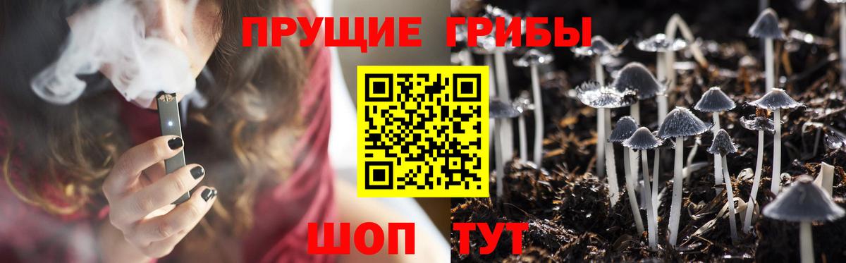 Псилоцибиновые грибы Magic Shrooms Североморск